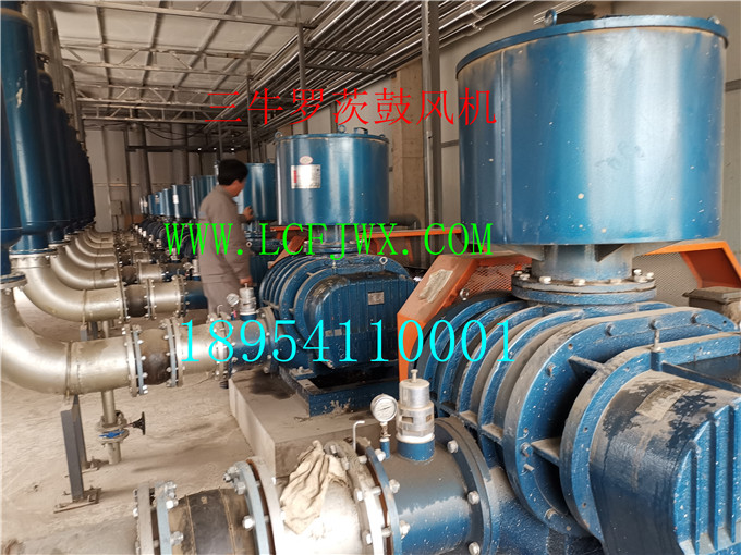 mmexport1552736791937.jpg