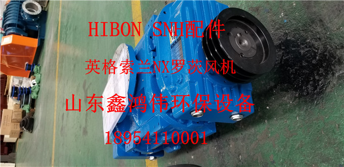20200316_141723_副本.jpg